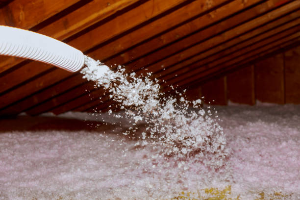 Best Insulation Installation Services in Mascot, TN