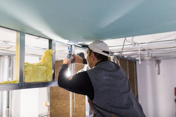 Best Insulation Maintenance and Repair in Mascot, TN